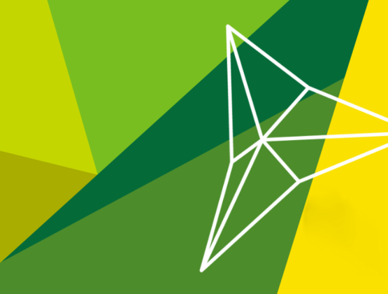 Website Banner
